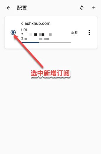 Clash Meta for Android 选中配置